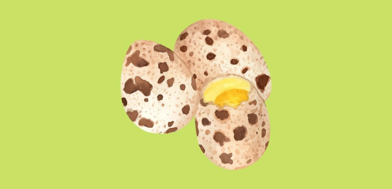 can bearded dragons eat quail eggs