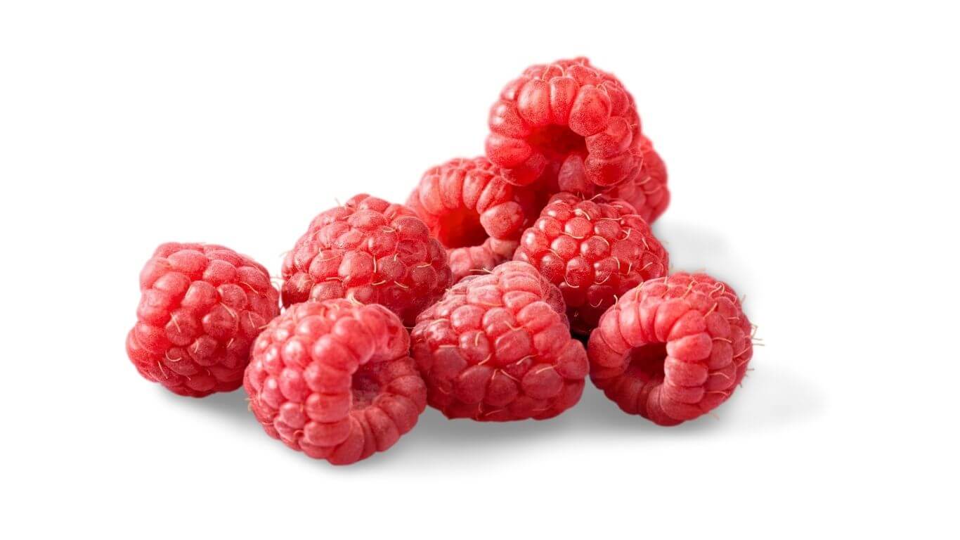 can bearded dragons have raspberries