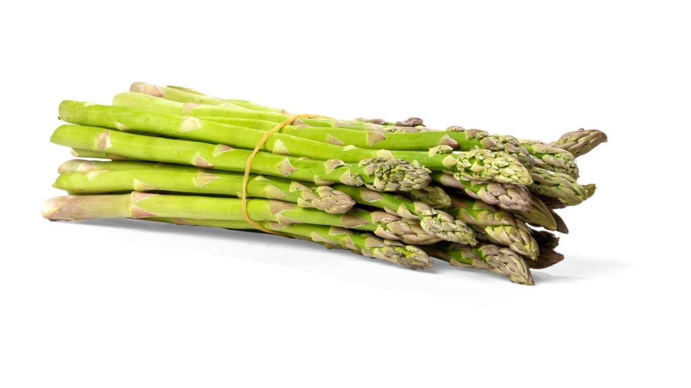 can-bearded-dragons-eat-asparagus