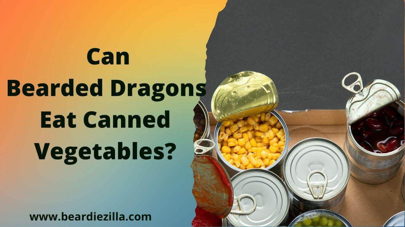 Can-Bearded-Dragons-Eat-Canned-Vegetables