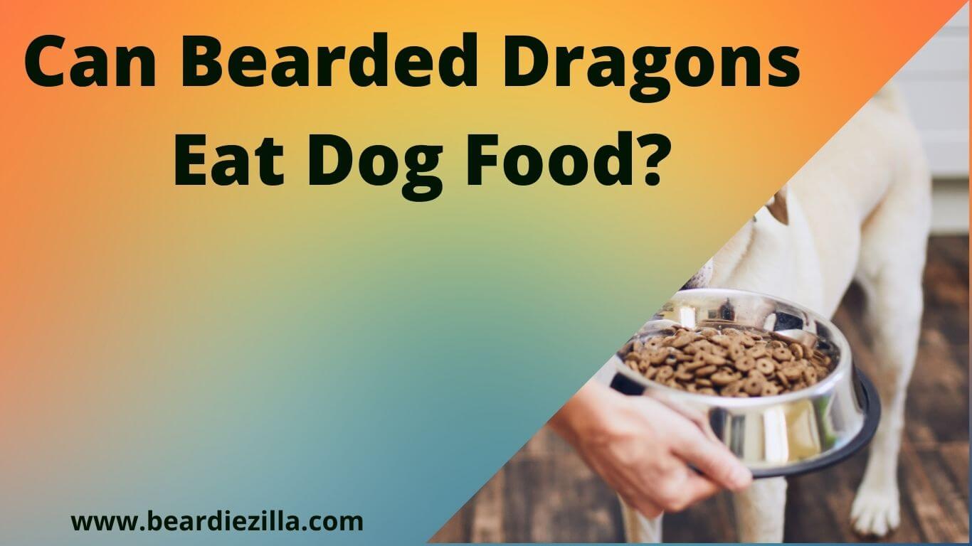 Can Bearded Dragons Eat Dog Food