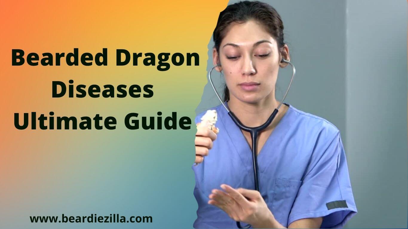 Bearded Dragons Diseases Ultimate Guide
