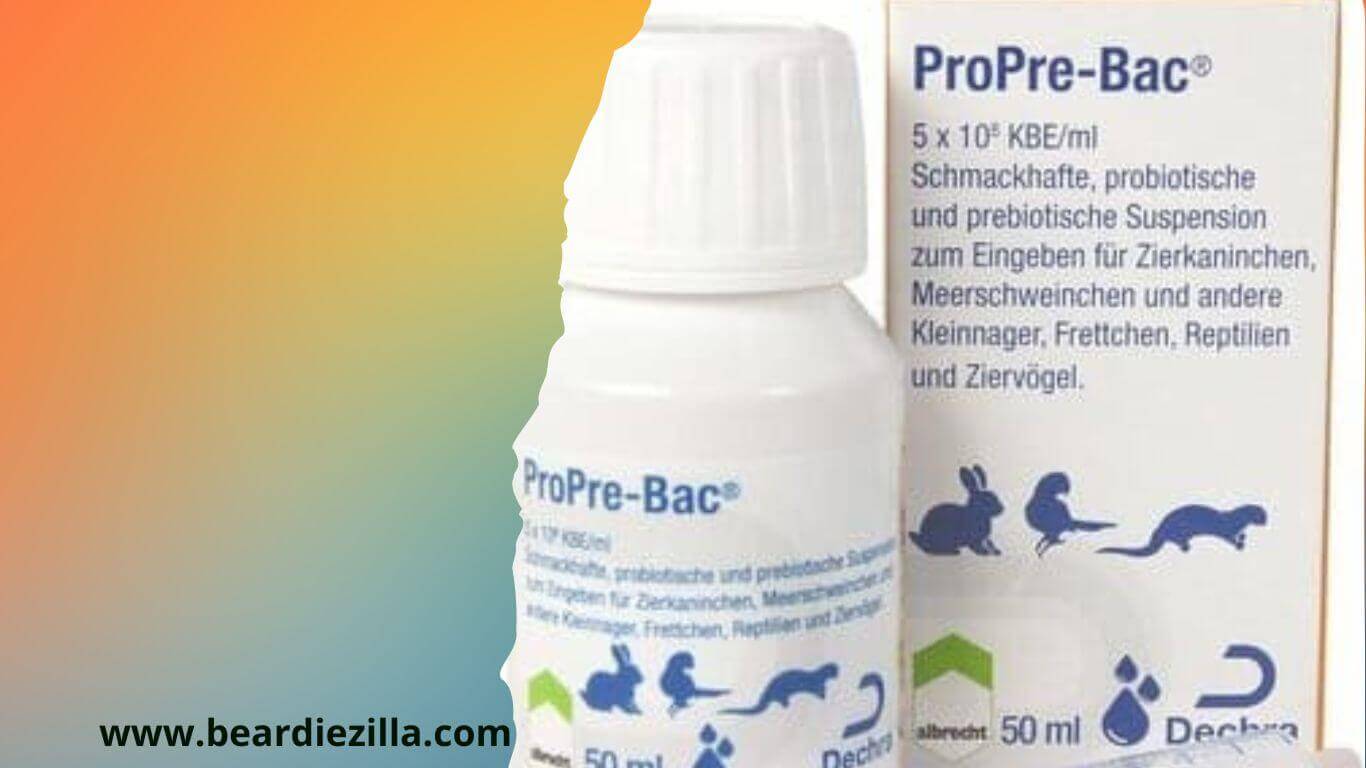 propre-bac-supplement